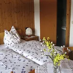 斯坦勒纳尔旅馆 *